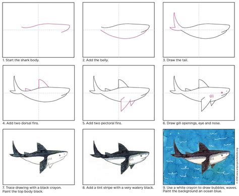 Step 1: Start drawing. Begin by drawing a rough initial sketch of the shark's body. “The body is like a spindle or a teardrop laid on its side,” says artist Terryl Whitlatch. “This goes for all sharks. The curved lines of the body create a spindle shape with one end slightly wider than the other end. The slightly wider end is the shark ...